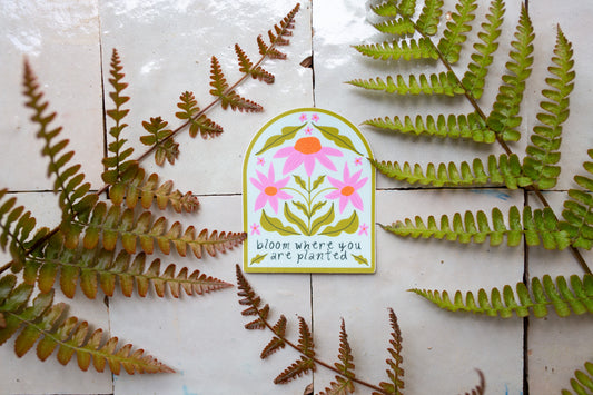 colorful matte vinyl sticker with the phrase "bloom where you are planted" surrounded by floral illustrations with a light blue background