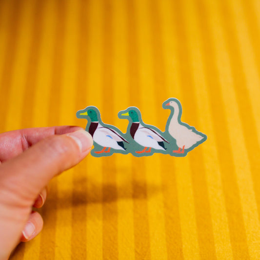 Three ducks illustrated on a sticker held by a hand against a yellow striped background