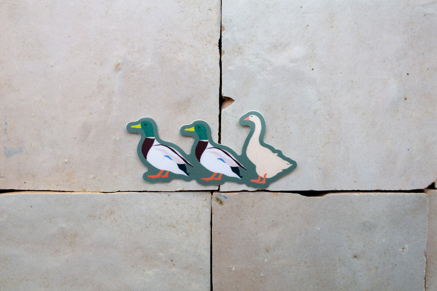 Sticker with ducks and a goose