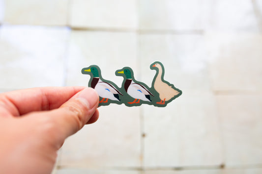 Three duck-shaped stickers held by a hand against a blurred background