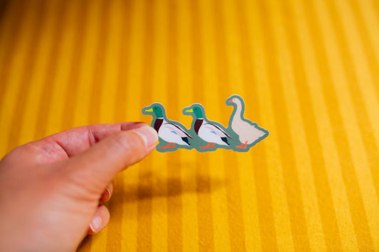 Three ducks illustrated on a sticker held by a hand against a yellow striped background
