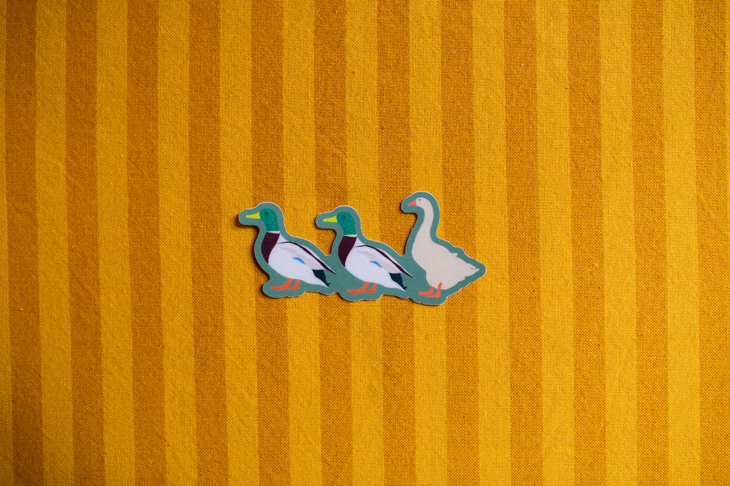 Three cartoon duck sticker on a yellow striped background