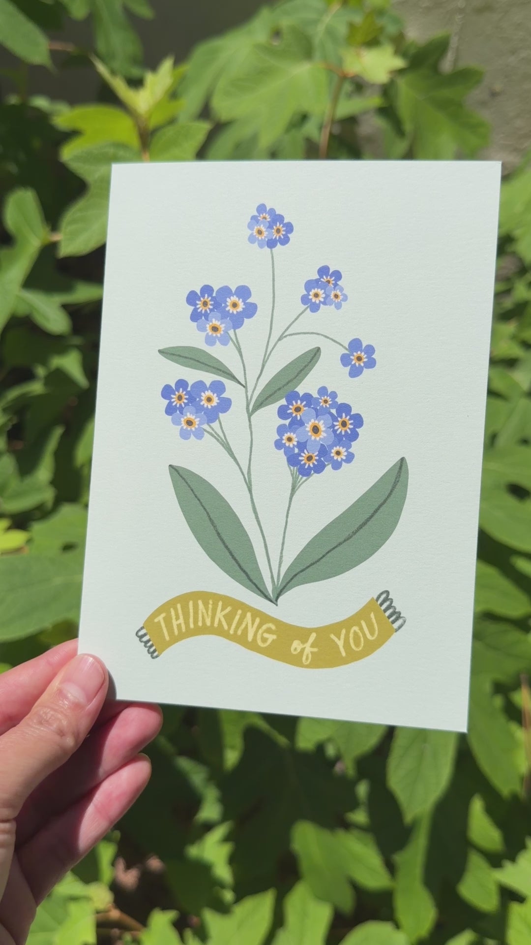 Video of Thinking of You Card With Forget Me Nots on Blue Background