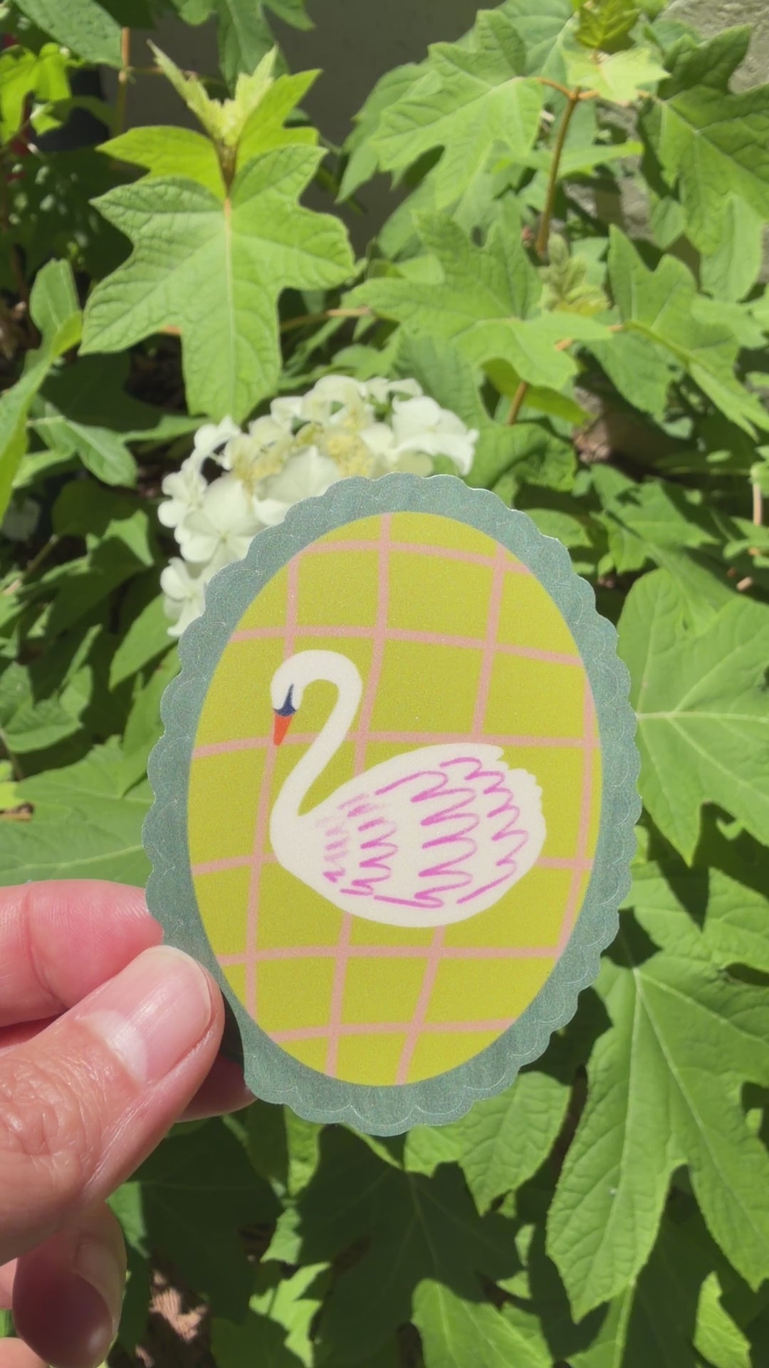 video of a swan sticker