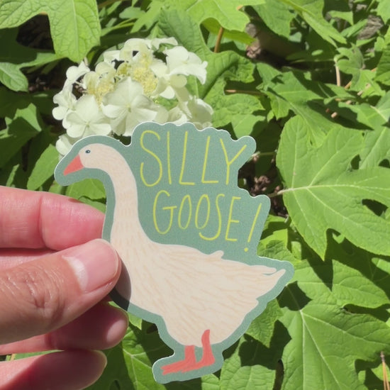 Video of a sticker that says Silly Goose