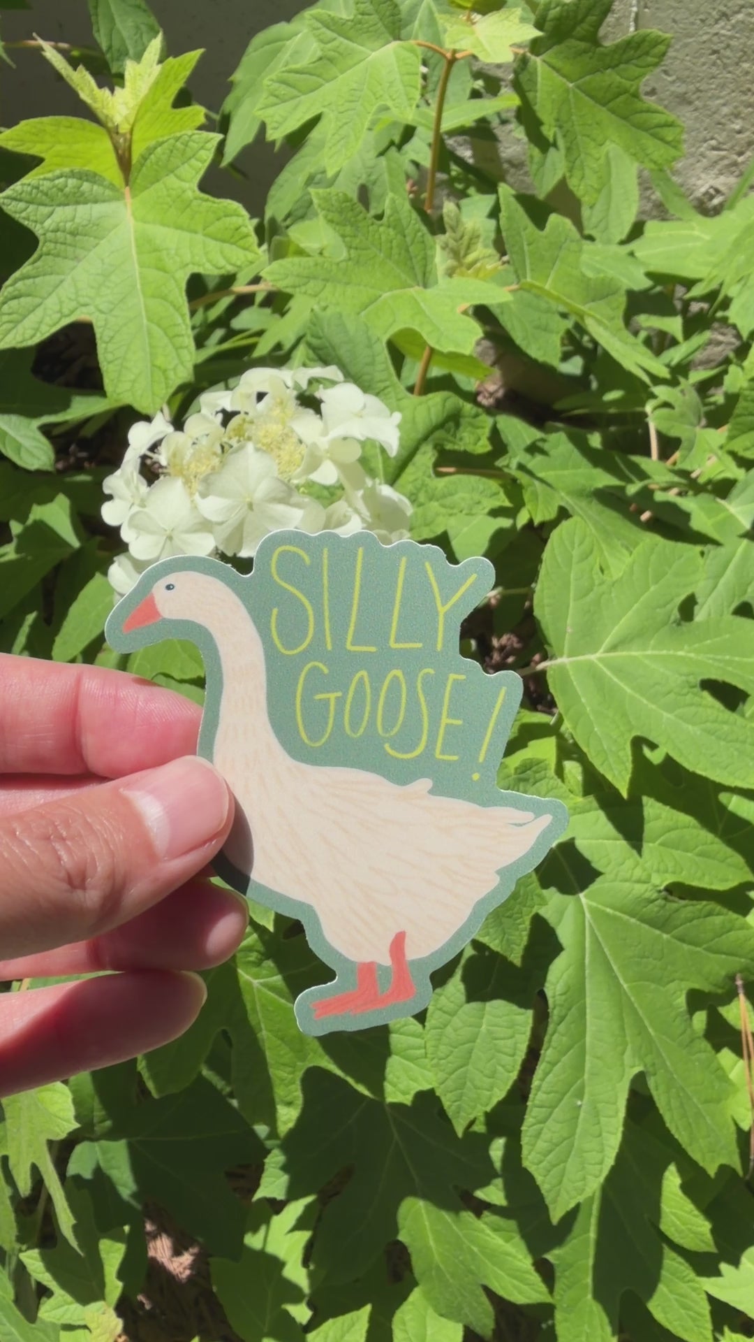 Video of a sticker that says Silly Goose